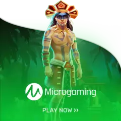 Micro Gaming