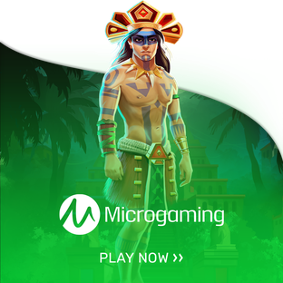 Micro Gaming